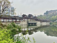 -重庆彩云湖湿地公园