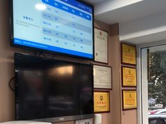 -天使宠物医院·犬猫分诊(彩虹店)