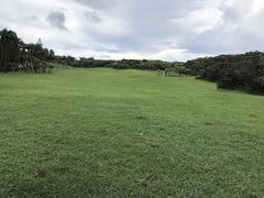 -鹅銮鼻公园