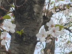 -相门城墙文化休闲景区