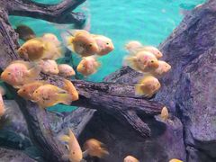-常州海昌海洋探索馆