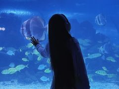 -重庆欢乐海底世界
