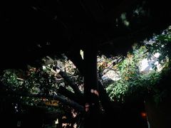 -飘香酒馆·私房菜