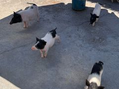 -水上乐园·欢乐世界