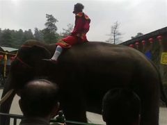 -贵州森林野生动物园