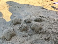 -东海半边山旅游度假区