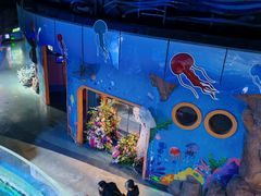-烟台海昌鲸鲨海洋公园