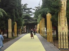 -函谷关历史文化旅游区