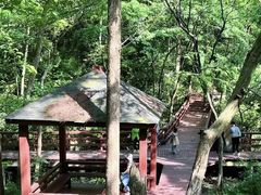 -宁海森林温泉