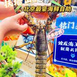 北京最豪横海鲜自助|分分钟把老板吃亏本！