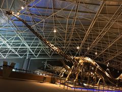 -世界恐龙谷景区