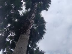 -成都欢乐谷