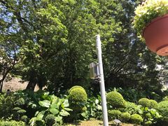 -龙城大药房