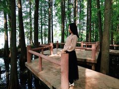 -东湖落雁景区