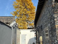 -青莯_Percher Coffee Shop(皮市街店)