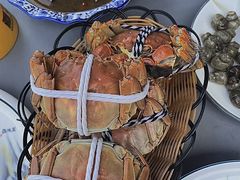 -蟹天蟹地农家菜·阳澄湖大闸蟹(浅水湾店)