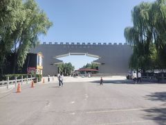 -洛阳市隋唐城遗址植物园
