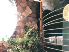 -盘炉forenza·云贵川融合小食堂 ( 钟楼中柳巷店)