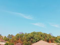 -咸宁万豪温泉谷度假区