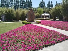 -上海市龙华烈士陵园