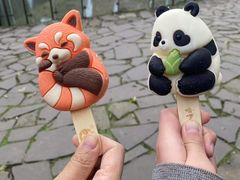 -都江堰中华大熊猫苑
