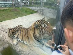 -西霞口神雕山野生动物世界