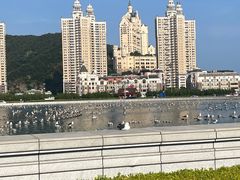 -星海广场