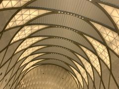 -新世界百货(明洞总店)