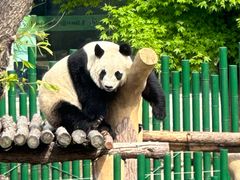 -沈阳森林动物园