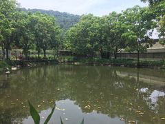 -东南花都花博园
