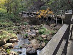 -信阳灵山风景区