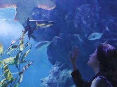 -暹罗海洋世界