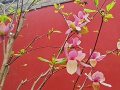 -西安市广仁寺