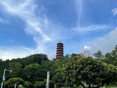 -红花山公园