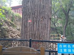 -北京上方山国家森林公园