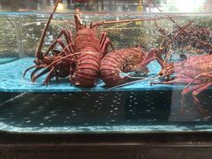 -阿伟海鲜楼·福建菜(延寿店)