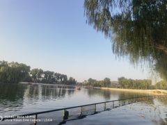 -什刹海
