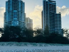 -黄金海岸