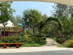 -合肥滨湖国家森林公园