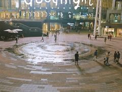 -鼎泰丰(嘉年华•海信广场VILLAGE店)