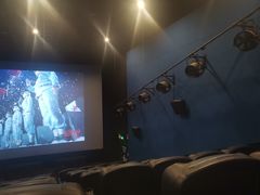 -万达影城(虎门万达广场IMAX店)