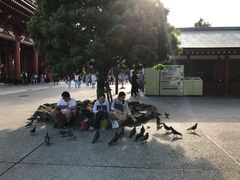 -浅草寺