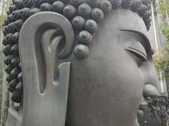 -杭州植物园