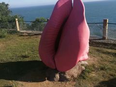 -漳州滨海火山岛自然生态风景区