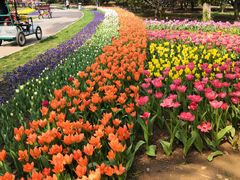 -石家庄市植物园