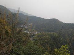 -桃花岭景区