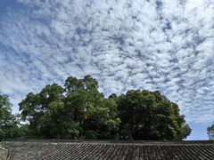 -成都杜甫草堂博物馆