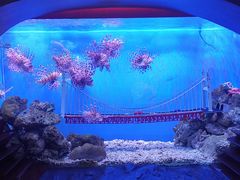 -太平洋海底世界