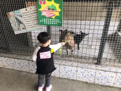 点击看大图 -可可天空农场(东部新城银泰店)