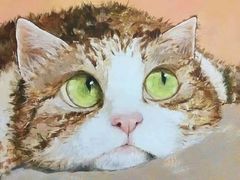-阿妮亚少儿美术书法(望京店)